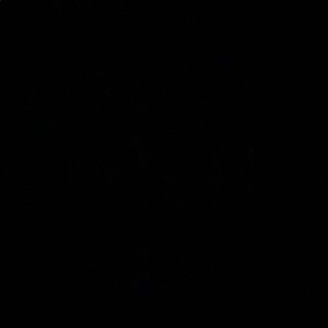 Meet your Posher, Ricardo